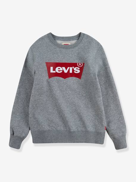 Batwing Crewneck Sweatshirt for Boys, by Levi's® grey+navy blue 