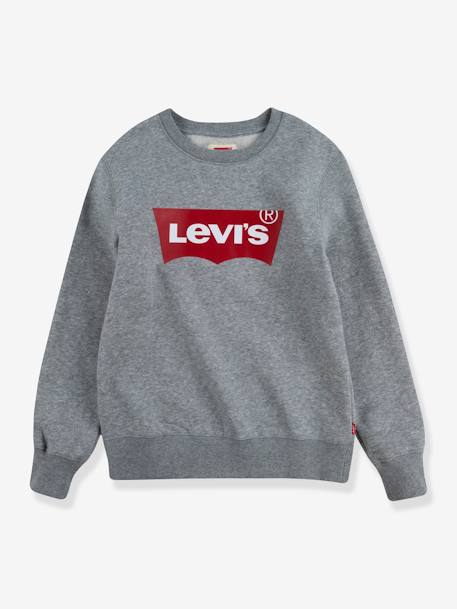 Batwing Crewneck Sweatshirt for Boys, by Levi's® grey 