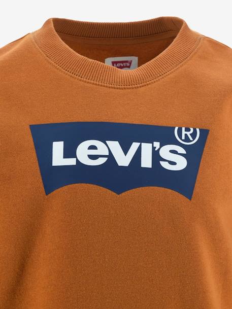 Batwing Crewneck Sweatshirt for Boys, by Levi's® grey+navy blue 