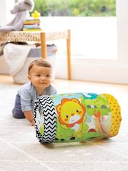 Toys-Baby & Pre-School Toys-Jungle Peek & Roll - INFANTINO