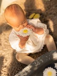 Toys-Baby & Pre-School Toys-Margarita the Daisy - OLI & CAROL