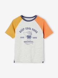 Boys-Tops-Colourblock Top with Shark Motif for Boys