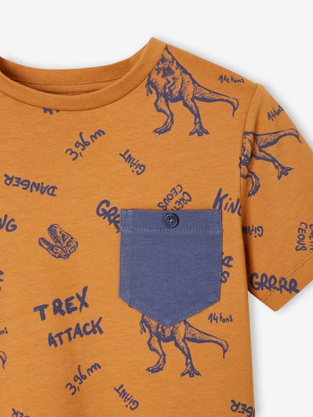 T-Shirt with Graphic Motifs for Boys anthracite+cinnamon+lichen+marl white+pecan nut+terracotta 