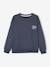 Sweatshirt with Chest Motif for Boys English green+ochre+slate blue 