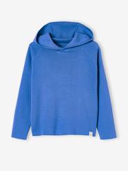 Boys-Hooded Jumper for Boys