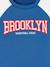 Team Brooklyn Colourblock Sports Sweatshirt for Boys pecan nut+royal blue 