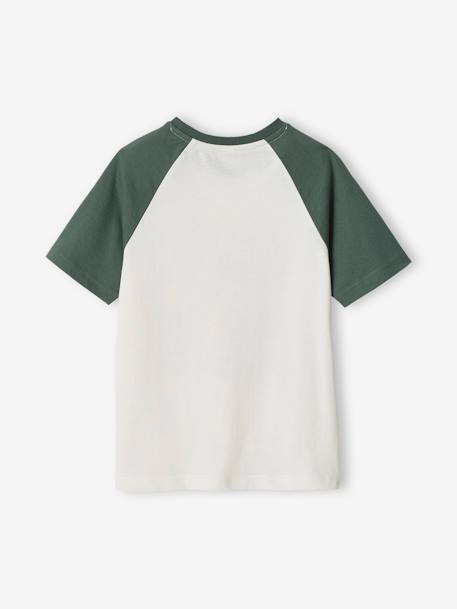 T-Shirt with Graphic Motif & Raglan Sleeves for Boys blue+sage green 