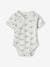 Pack of 5 Bodysuits for Newborn Babies, Front Opening sky blue 