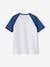 T-Shirt with Graphic Motif & Raglan Sleeves for Boys blue+sage green 