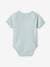 Pack of 5 Bodysuits for Newborn Babies, Front Opening sky blue 