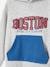 Sports Sweatshirt with Team Boston Motif for Boys marl grey 