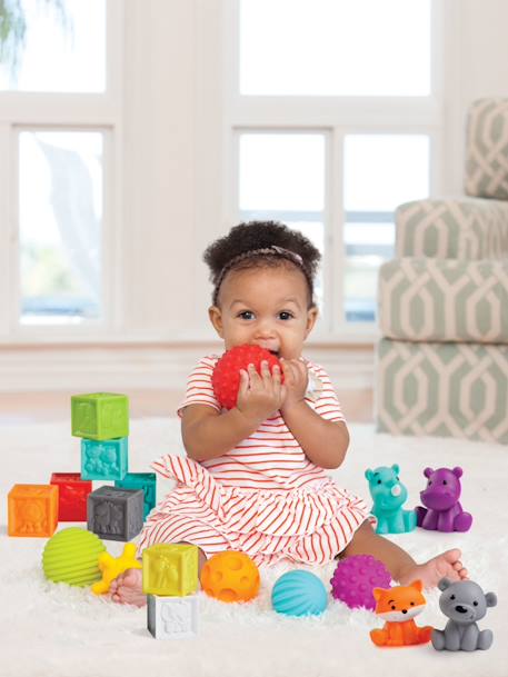 Bluebox Set of 8 Balls, 4 Animals and 8 Sensorial  Cubes Multi 