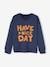 Sweatshirt with 'Have a nice day' Message, for Boys slate blue 