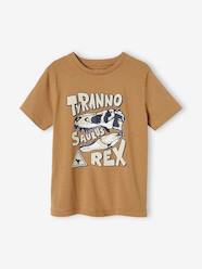 Boys-Tops-T-Shirts-Dinosaur T-Shirt for Boys