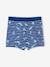 Swim Boxers with Tropical Print for Boys striped navy blue 