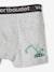 Pack of 3 Stretch Boxers for Boys, 'Digger' sage green 