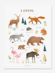 -Animals of Europe Poster, Living Earth by LILIPINSO