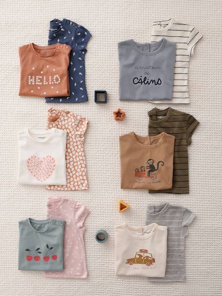 Pack of 2 Basic T-Shirts for Babies caramel+grey blue 