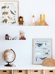 Bedding & Decor-Decoration-Wall Décor-Animals of the North/South Pole, by LILIPINSO