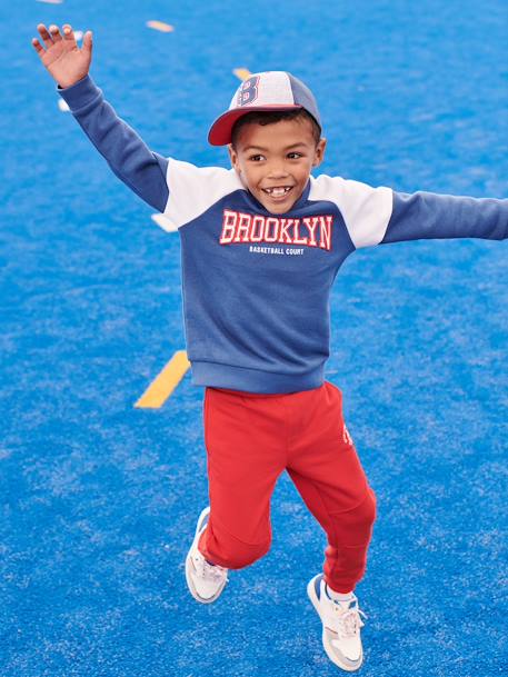 Team Brooklyn Colourblock Sports Sweatshirt for Boys royal blue 