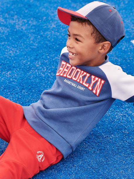 Team Brooklyn Colourblock Sports Sweatshirt for Boys pecan nut+royal blue 