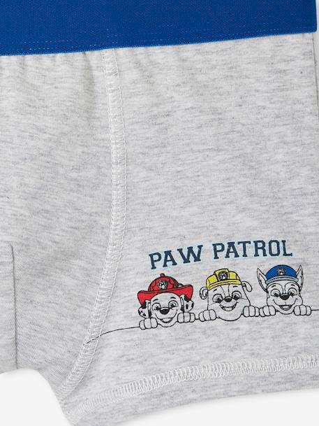 Pack of 3 Paw Patrol® Boxers for Boys electric blue 