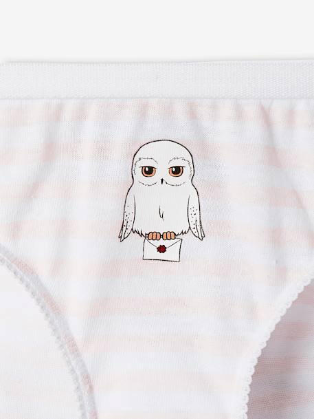 Pack of 5 Harry Potter® Briefs for Girls rosy 