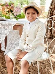 Boys-Occasion Wear Cotton/Linen Jacket for Boys