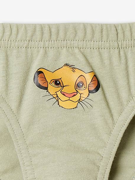 Pack of 5 Briefs for Boys, Disney® The Lion King 6706 