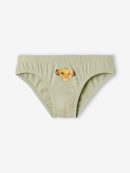 Pack of 5 Briefs for Boys, Disney® The Lion King 6706 