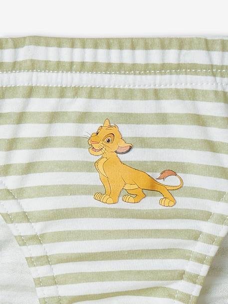 Pack of 5 Briefs for Boys, Disney® The Lion King 6706 