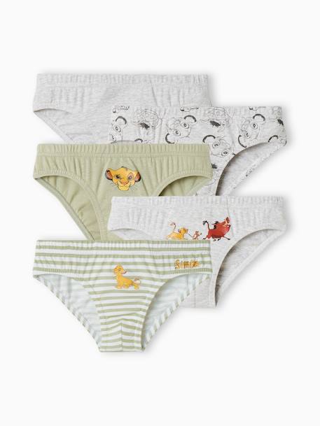 Pack of 5 Briefs for Boys, Disney® The Lion King 6706 