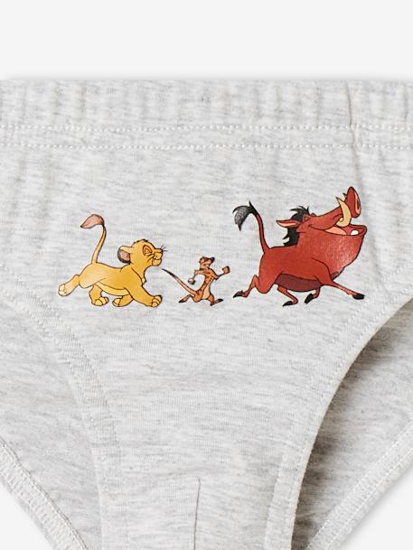 Pack of 5 Briefs for Boys, Disney® The Lion King 6706 
