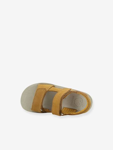 Sandals for Children, Goa Boy by SHOO POM® blue+caramel 