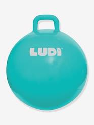 Toys-Outdoor Toys-XXL Space Hopper