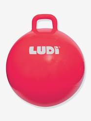 Toys-Outdoor Toys-XXL Space Hopper