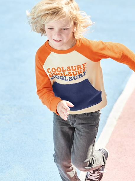 Cool Surf Sweatshirt, Colourblock Effect, for Boys multicoloured 