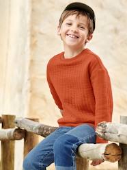 Boys-Cardigans, Jumpers & Sweatshirts-Padded Sweatshirt for Boys