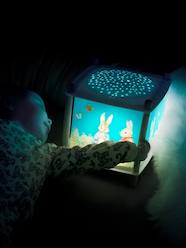 -Lantern Revolution, Peter Rabbit Night Light - TROUSSELIER