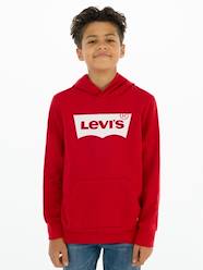 Boys-Cardigans, Jumpers & Sweatshirts-Sweatshirts & Hoodies-Hoodie, LEVI'S® Batwing Screenprint