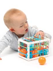 Toys-Baby & Pre-School Toys-Manipulation Box, LUDI