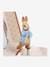 Musical Cube Box, Peter Rabbit - TROUSSELIER printed red 