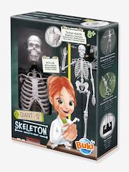 Skeleton - BUKI