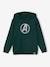 Hoodie for Boys, the Avengers by Marvel® fir green 