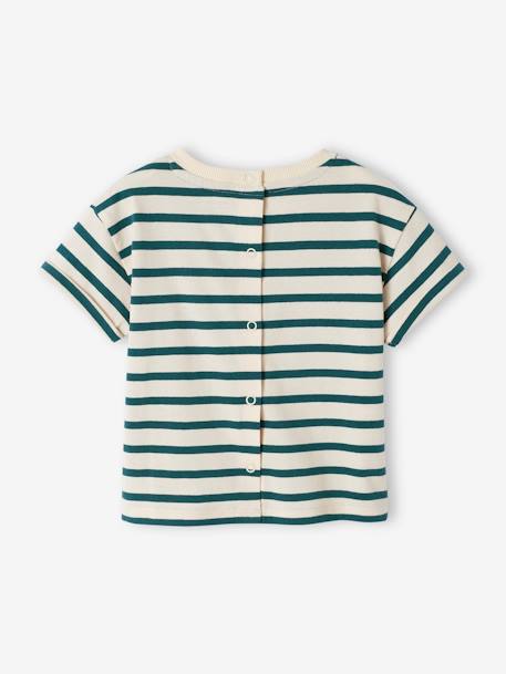 T-Shirt for Babies, Sailor Capsule Collection striped green 