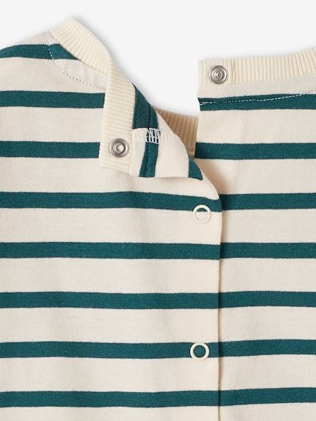 T-Shirt for Babies, Sailor Capsule Collection striped green 