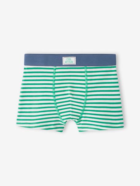 Pack of 5 Skateboarding Stretch Boxers for Boys green 