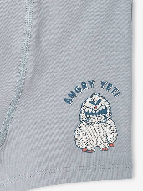 Pack of 5 Stretch Yeti Boxers for Boys grey blue 