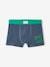 Pack of 5 Skateboarding Stretch Boxers for Boys green 