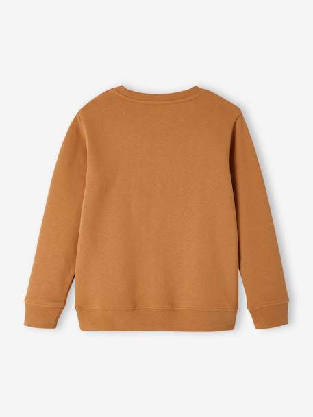 Basics Sweatshirt with Graphic Motifs for Boys pecan nut 